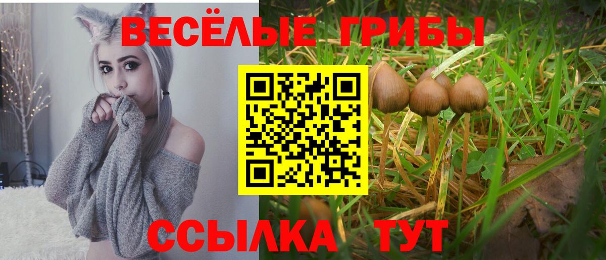 Псилоцибиновые грибы MAGIC MUSHROOMS  купить закладку  Геленджик  Вход с VPN 