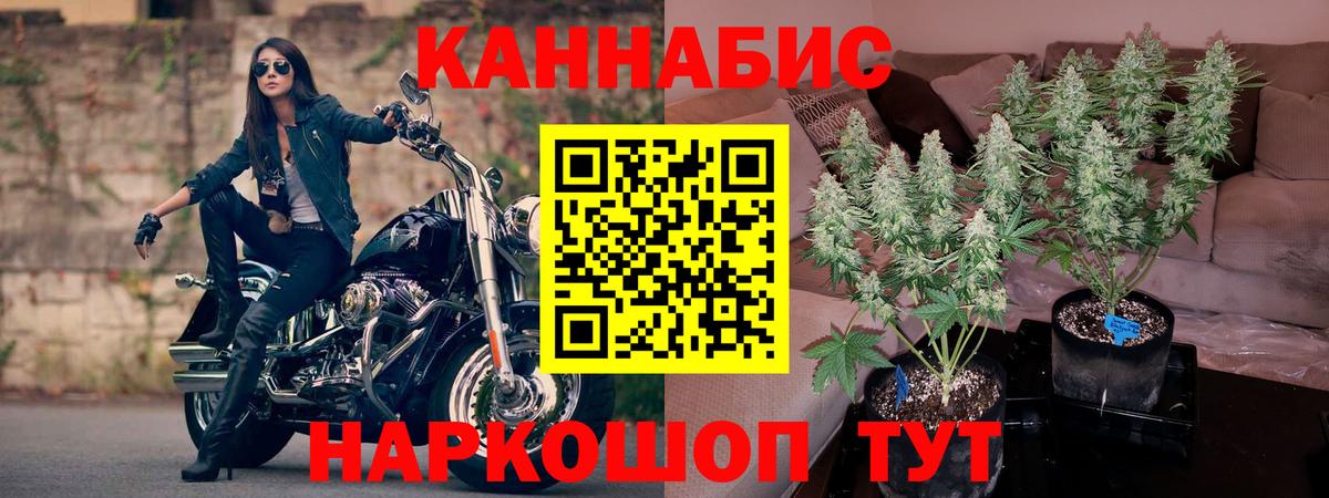 Канабис MAZAR Геленджик